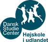 DSC logo