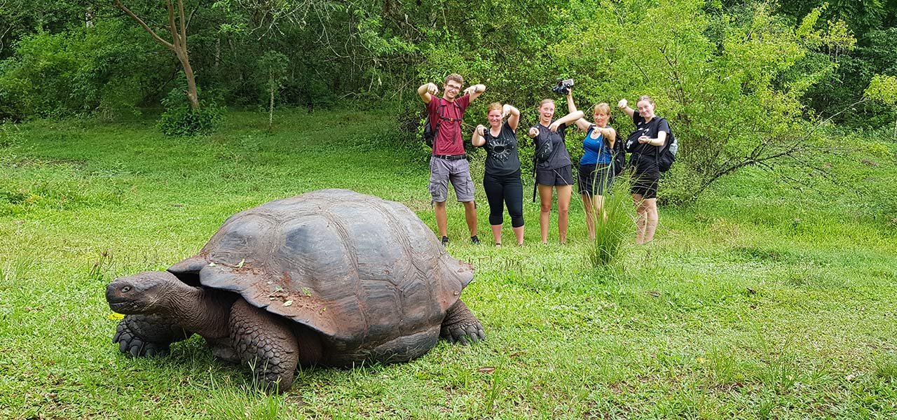 Galapagos-skildpadde