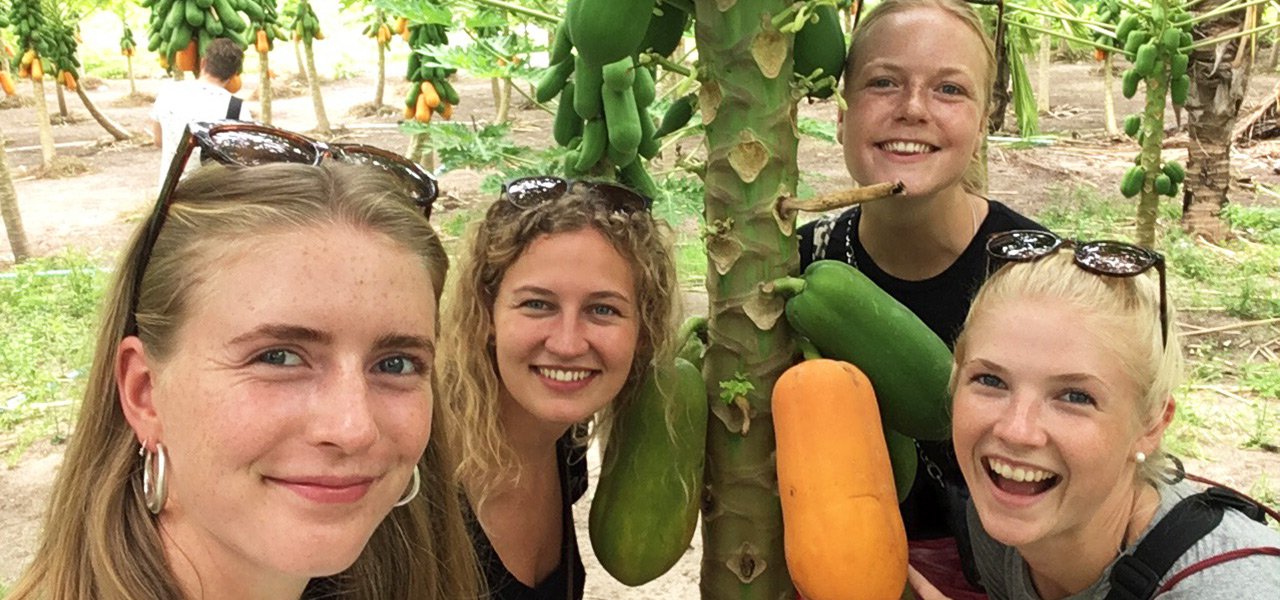 Maldiverne-papaya