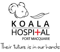 Dansk Studie Center støtter Koala Hospital