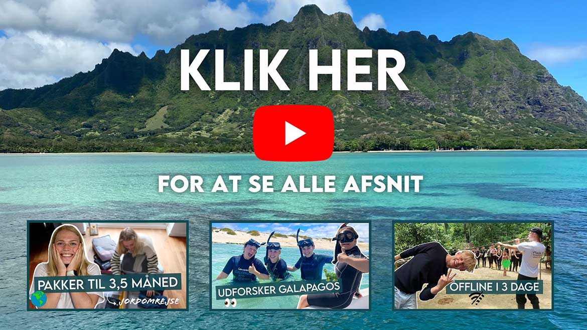 Klik for at se afsnit